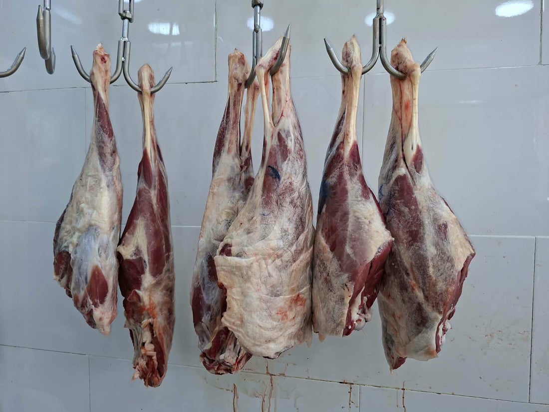 لە چەمچەماڵ سێ قەسابخانە داخران و شوێنێکیش سزا درا