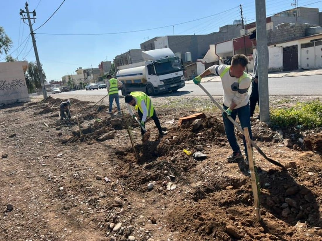 شەقامێكی بنەسڵاوە بە 60 دار سەوز كرا