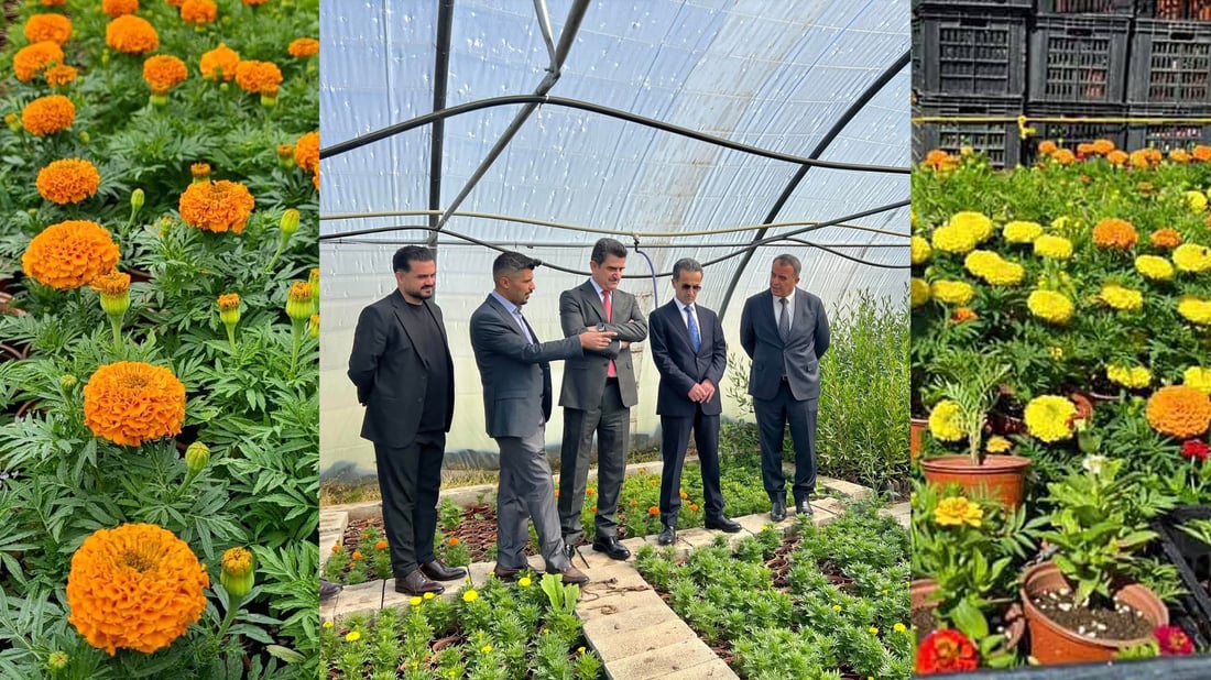 نه‌مامگه‌كه‌ى رواندز 20 هه‌زار گوڵى رەنگاوڕەنگی به‌رهه‌مهێناوه‌