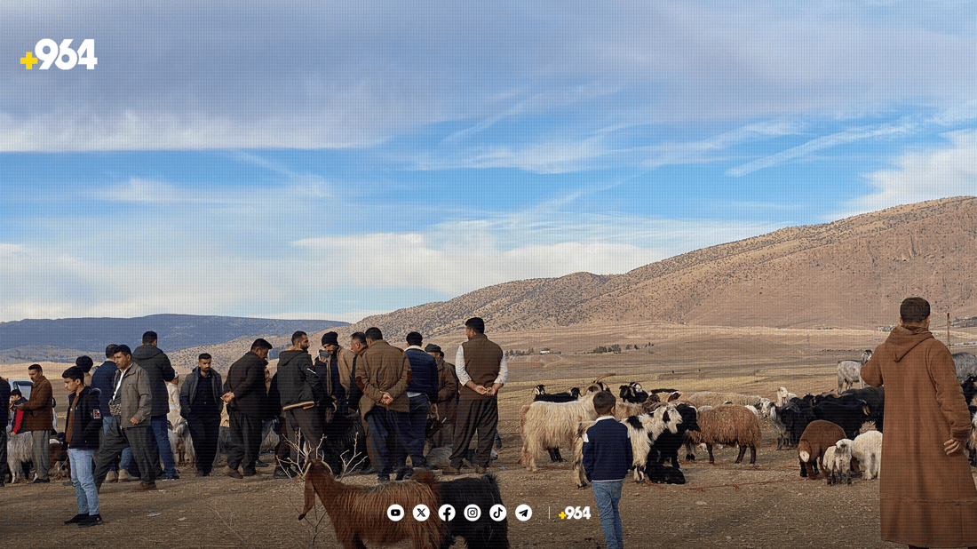 لە هەریر مەیدانێکی جیاوازی ئاژەڵان کراوەتەوە