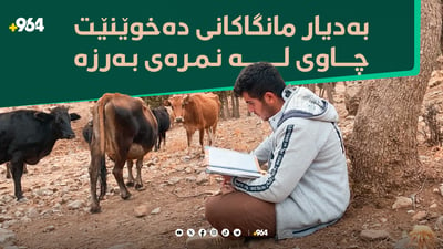 حەسەن عەزیز گاوانی دەکات و چاوی لە نمرەی بەرزە