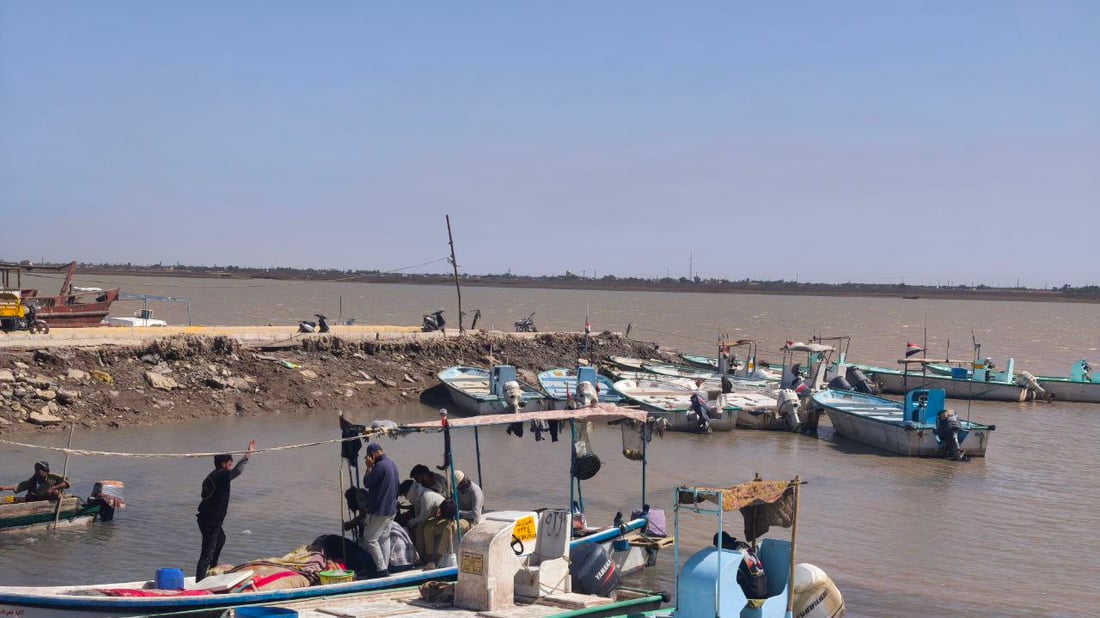 أخيراً وصل سمك “الشماهي” إلى مرسى النقعة.. الكمية نفدت فور وصولها (صور)