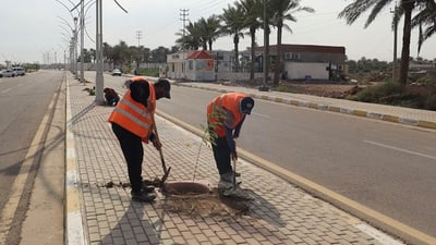 الأنبار تزرع 5 آلاف شجرة في عامرية الصمود.. جمالية وزيادة للرقعة الخضراء