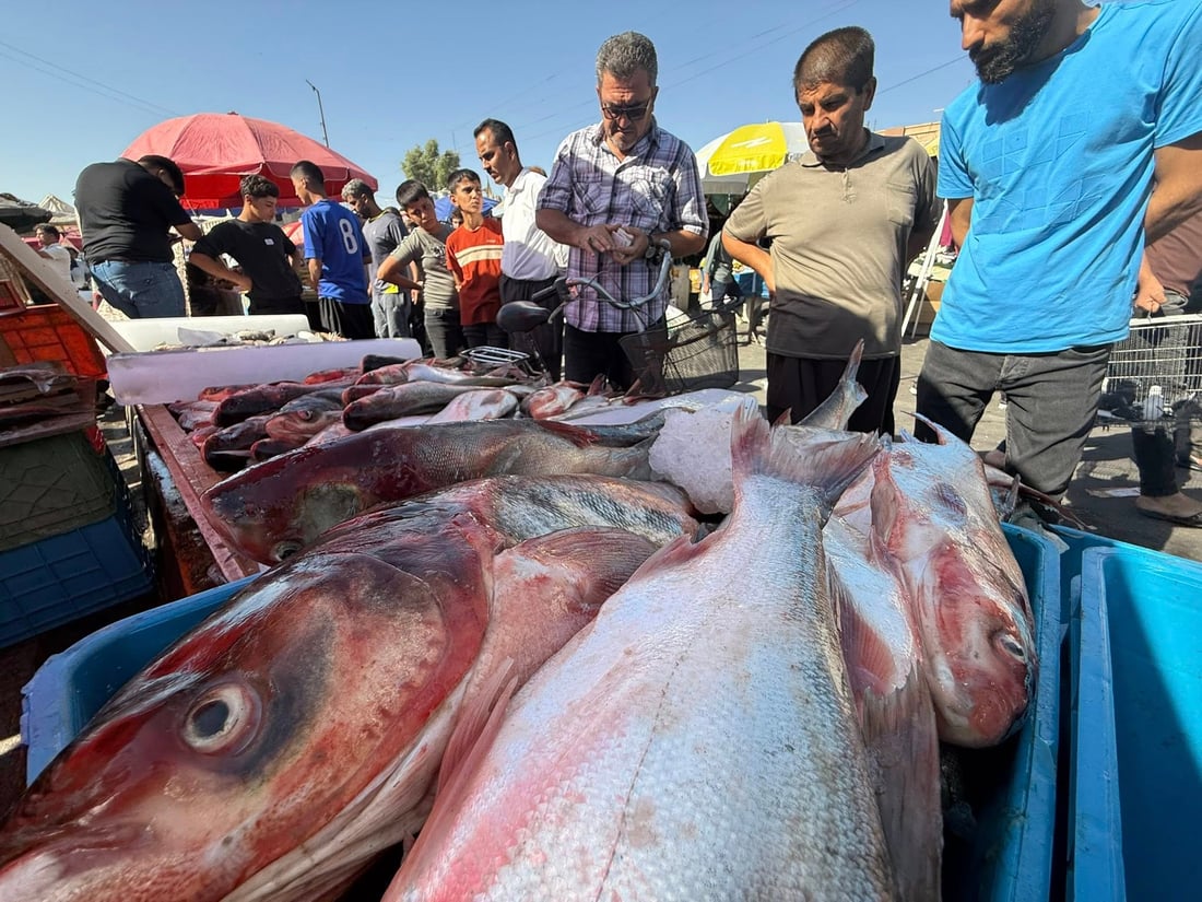 هەینییە و پردی سەیداوەی هەولێر جمەی دێ 