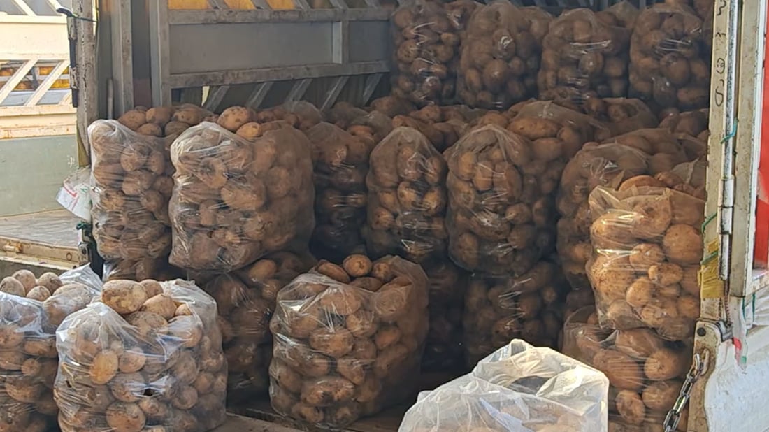 سەوزە و میوە لە عەلوەی هەولێر سێ هێندە گران بوون