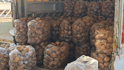 سەوزە و میوە لە عەلوەی هەولێر سێ هێندە گران بوون