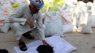 العراق محتار بالعنب الفائض لكن سوق العطارين لديه حل (فيديو)