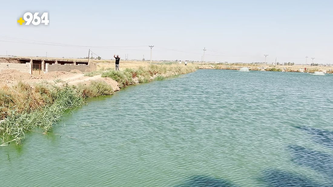 964mediaصورة من منصة (شبكة): 