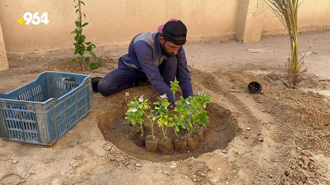 Safwan municipality plants 1000 seedlings in schools for ‘Green Cell’ project