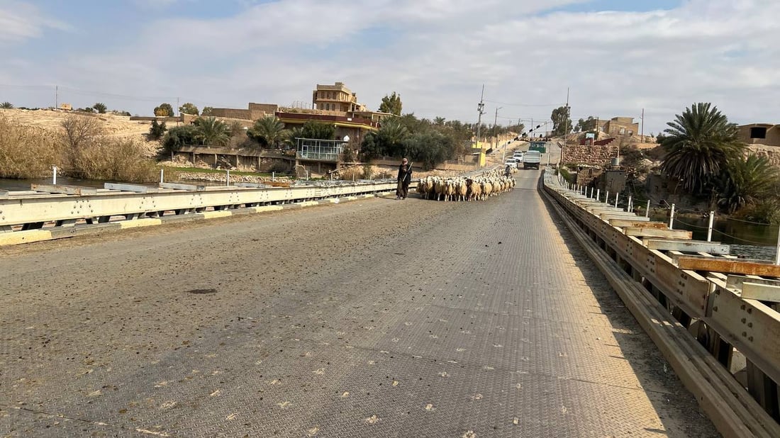 صور: القوات الأمنية تؤمن انتقال 10 آلاف رأس غنم إلى الشامية غرب الأنبار