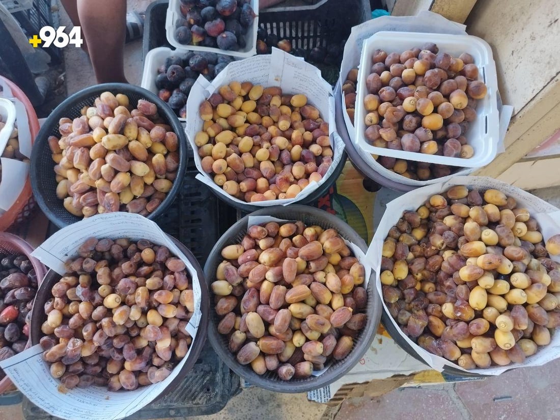 صور: تمور الحلة تطيح بـ”عمراني” البصرة.. كميات قليلة من “الجبجاب والمكتوم”