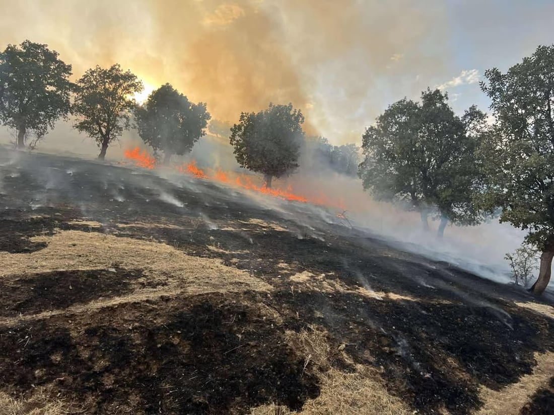 شۆرتی کارەبا زیاتر لە 1000 دۆنم پوش و پاوان و دارستانی لە شارباژێر سووتاند