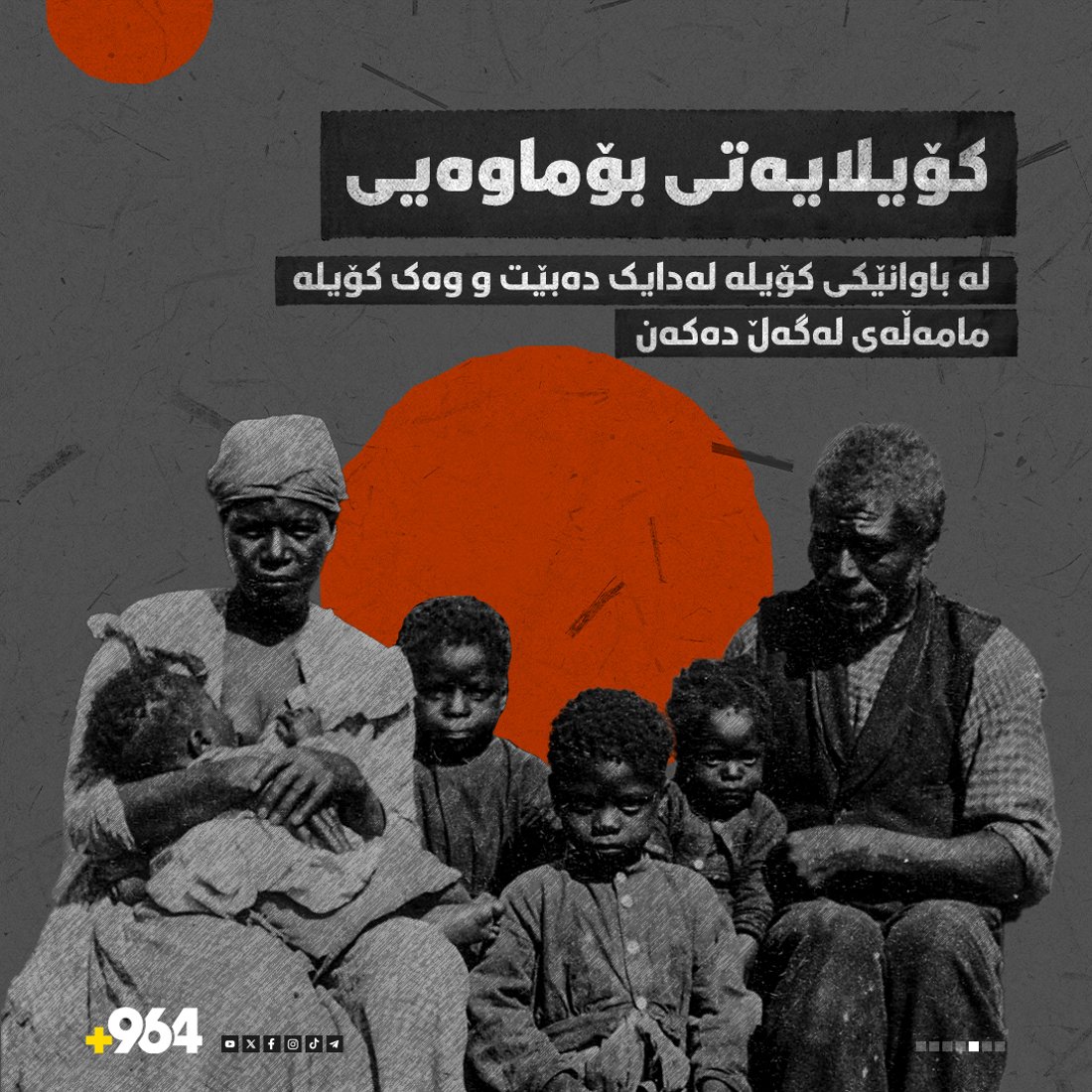 +964صورة من منصة (شبكة): 