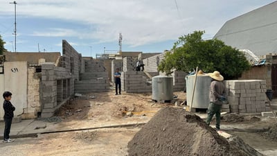 لەبەر دار پرتەقاڵێک دیزاینی ماڵەکەی تێکدا و نەیهێشت بیبڕنەوە