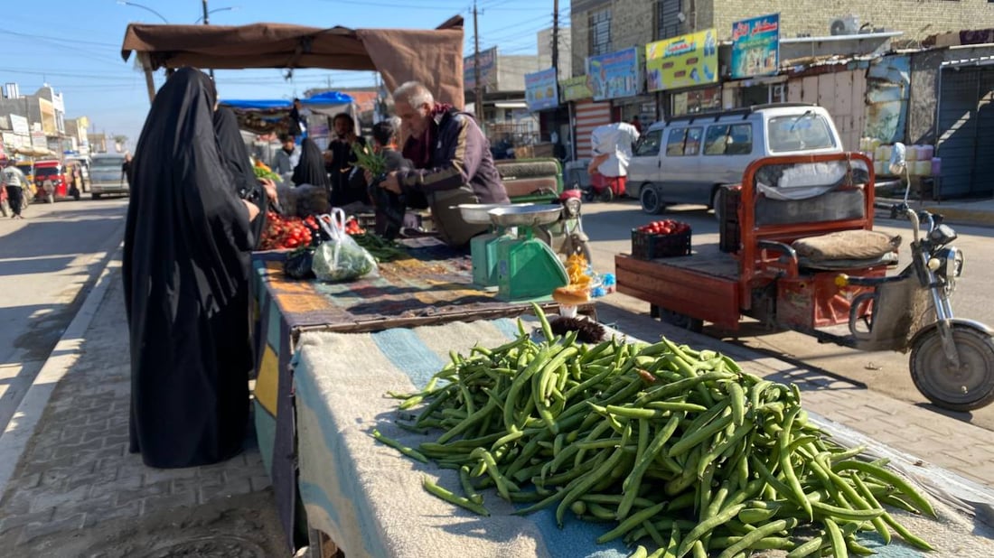 صور: الباقلاء العراقية نزلت.. المزارعون يأملون أن لا تنهار الأسعار تحت 400 دينار