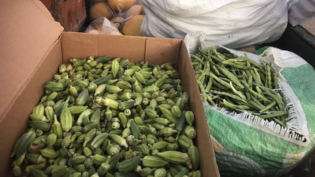 زراعة أبو غريب ليست بخير.. أمطار أيار هي السبب وحر حزيران (صور وأسعار)