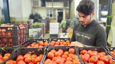 نرخی سەوزە و میوە لە عەلوەی کۆیە بەردەوام لە بەرزبوونەوە دایە