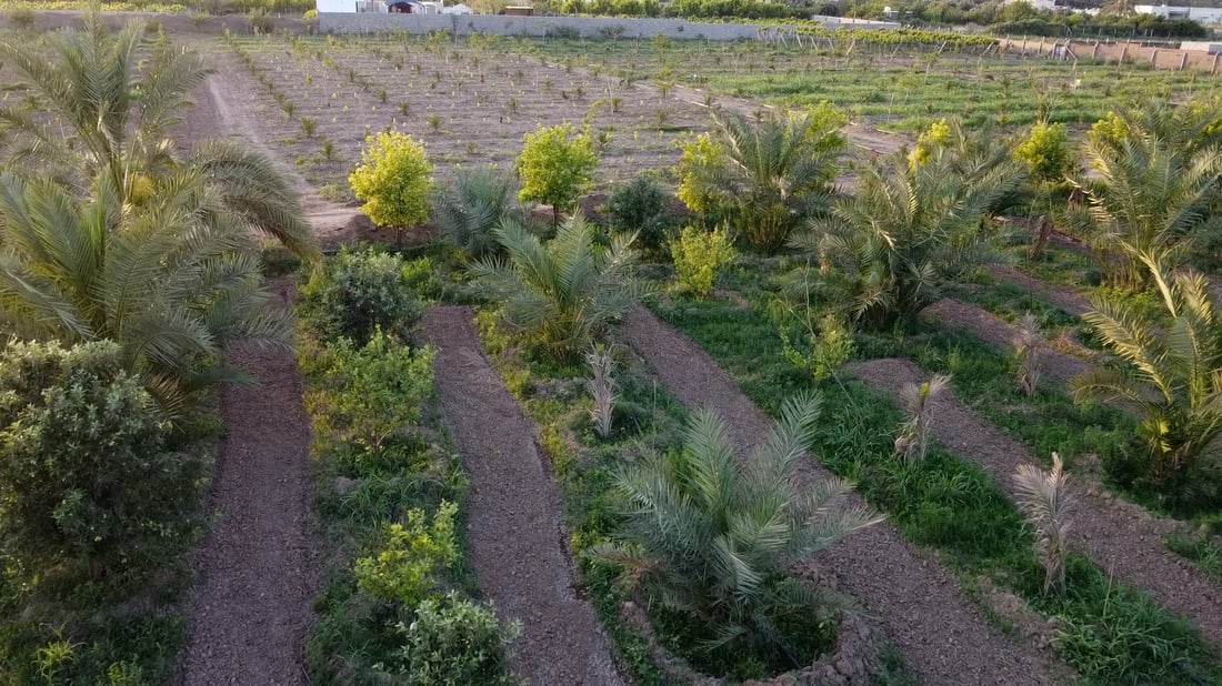الجنوب 