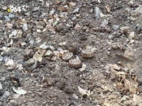 له‌ چۆمان و پشده‌ر ژماره‌یه‌كی زۆر له‌ مین دۆزرانه‌...