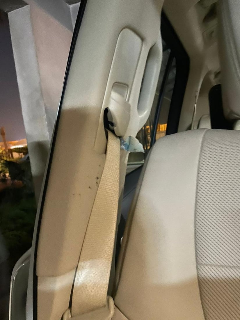 Iraqi politician, publisher survives assassination attempt in Baghdad