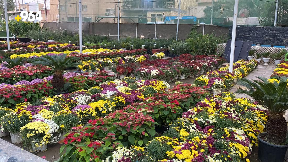 [PHOTOS] Nasiriyah flower exhibition encourages locals to pick up gardening