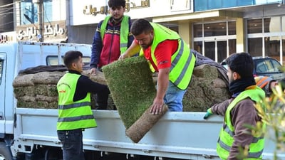 قۆناغی دووەمی چاندنی فریزی فەرش لە دورگەی ناوەندی شەقامی کەرکووک دەستیپێکرد