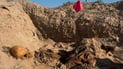 Iraq’s Martyrs Foundation examines newly discovered mass grave in Saqlawiyah