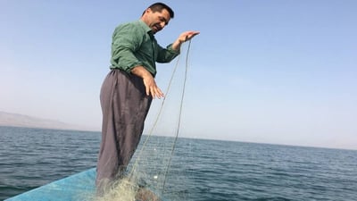 كردستان تحظر صيد الأسماك 3 شهور في موسم التكاثر