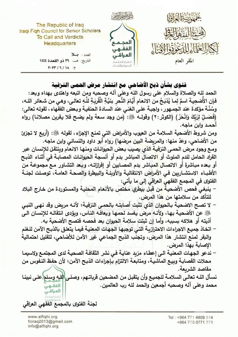 +964صورة من منصة (شبكة): 