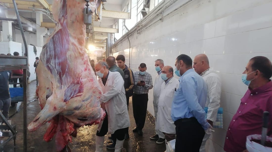 للسيطرة على الأسواق.. الزراعة تسمح باستيراد اللحوم ومنح قروض للمزارعين