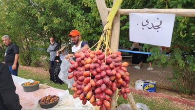 يمكن للنخيل أن ينجح في كردستان بعد تغير المناخ.. صور شهية من مهرجان كركوك للتمور