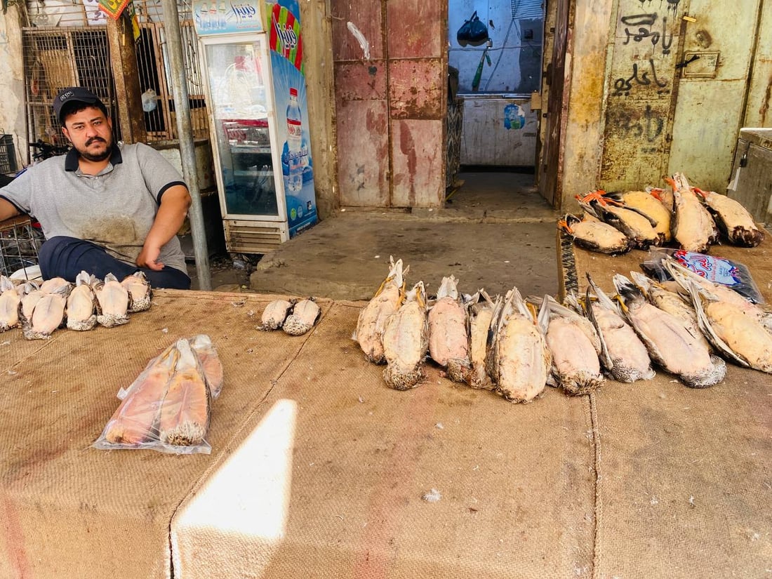 لا طيور ولا صيادين في ميسان.. الجفاف يطرد ”الحجل“ و“أبو طوق” من الأهوار (صور)