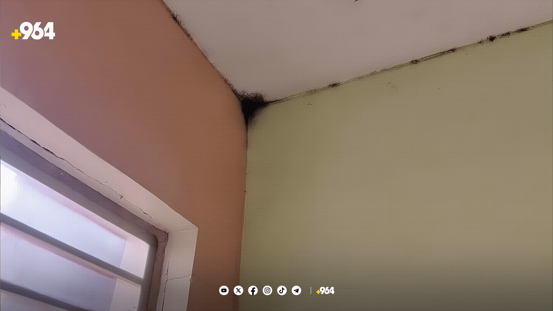 بەم سەرمایە مێرووی باڵدار واز لە دوزخورماتوو ناهێنێت