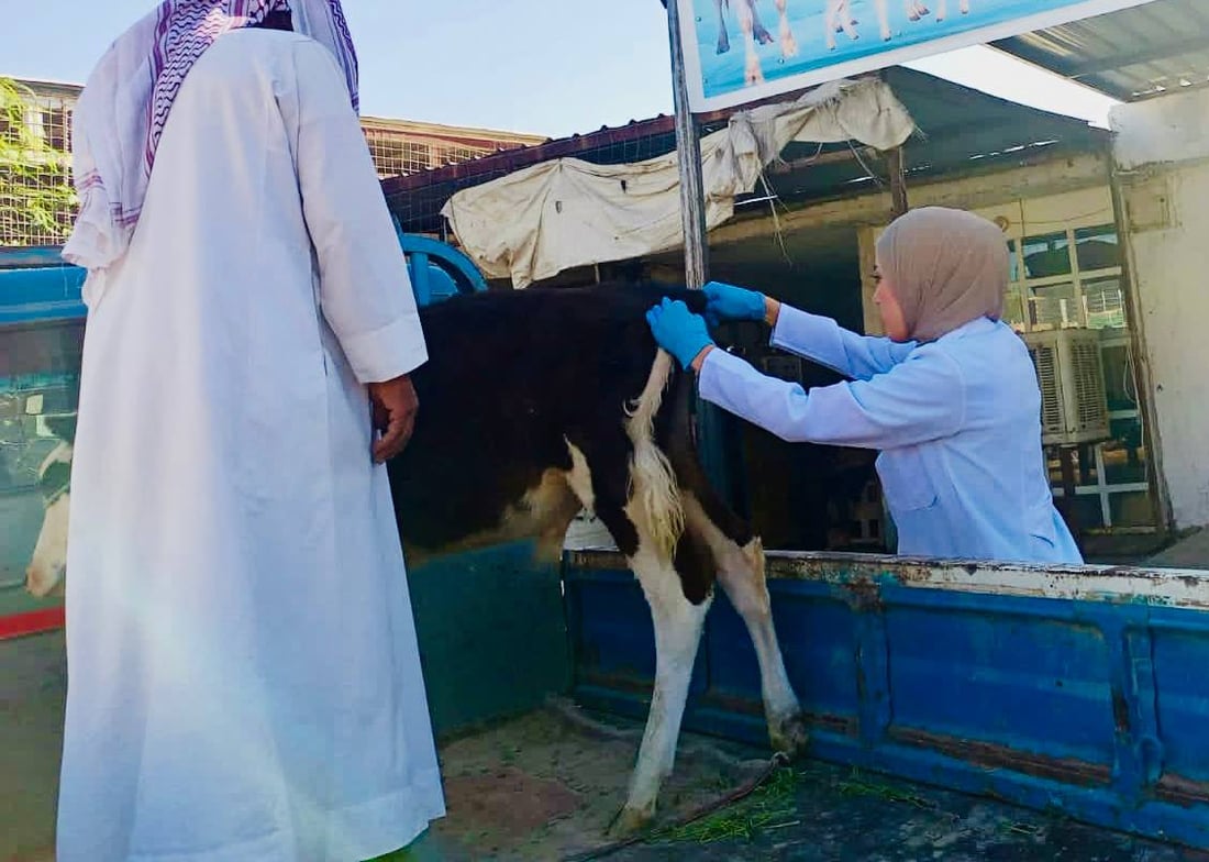 صور: دلال ذياب.. أول سيدة تدير عيادة بيطرية في أبو غريب