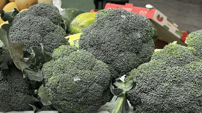 هەر کیلۆیەک برۆکلی زیاتر لە دوو هەزار دیناری چووەتەسەر