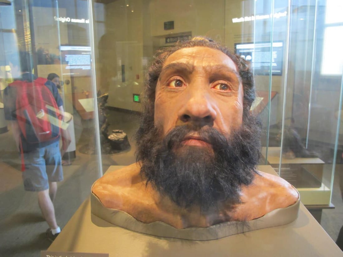 60 ساڵ لەمەوبەر کەللەسەرێکی دیکەی مرۆڤی نیاندرتاڵ دروستکراوەتەوە