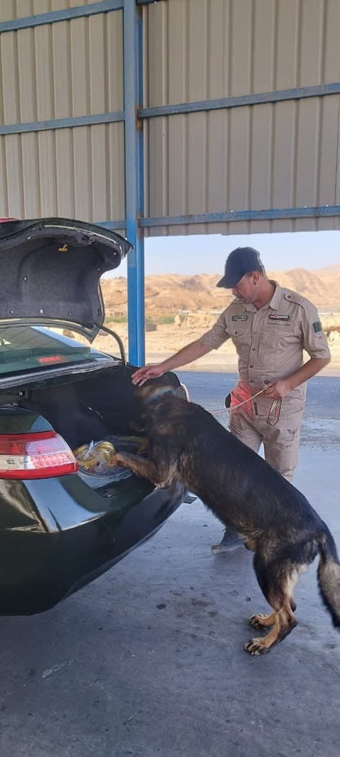 فەرماندەی پۆلیسی سەڵاحەدین بۆ 964: سەگی پۆلیسیمان هێناوە