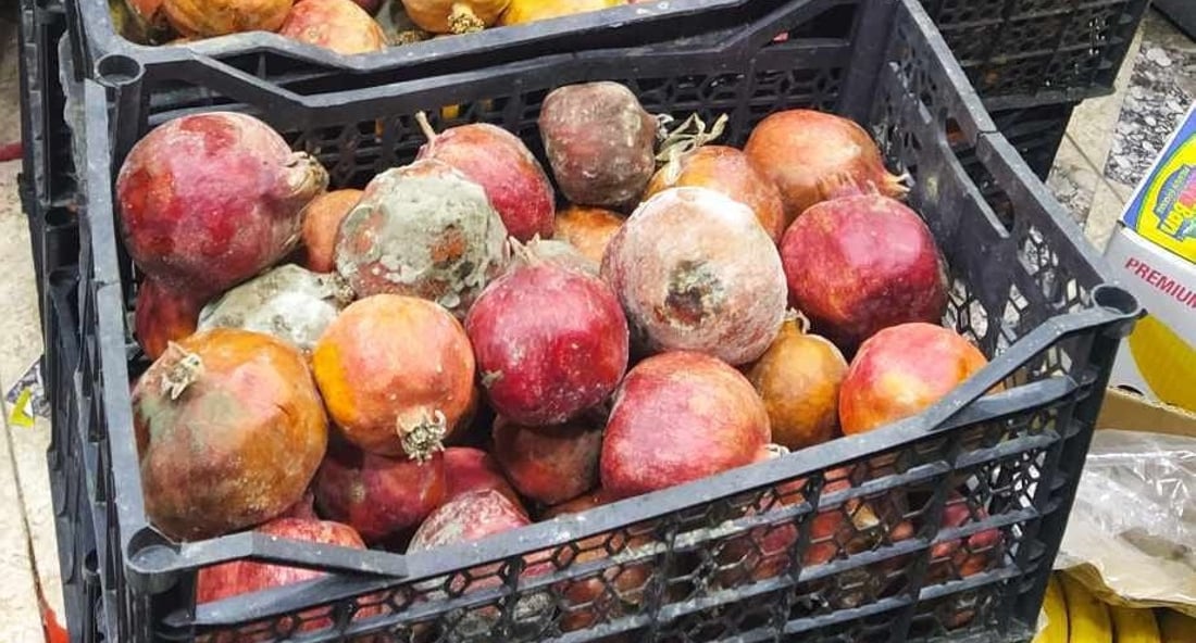 لە حاجیاوا 375 کیلۆ هەناری خراپ و خورما دەستیانبەسەردا گیرا