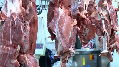 چارەسەری خێرا بۆ رێگری لە گرانبوونی گۆشت پێشنیار دەکرێت