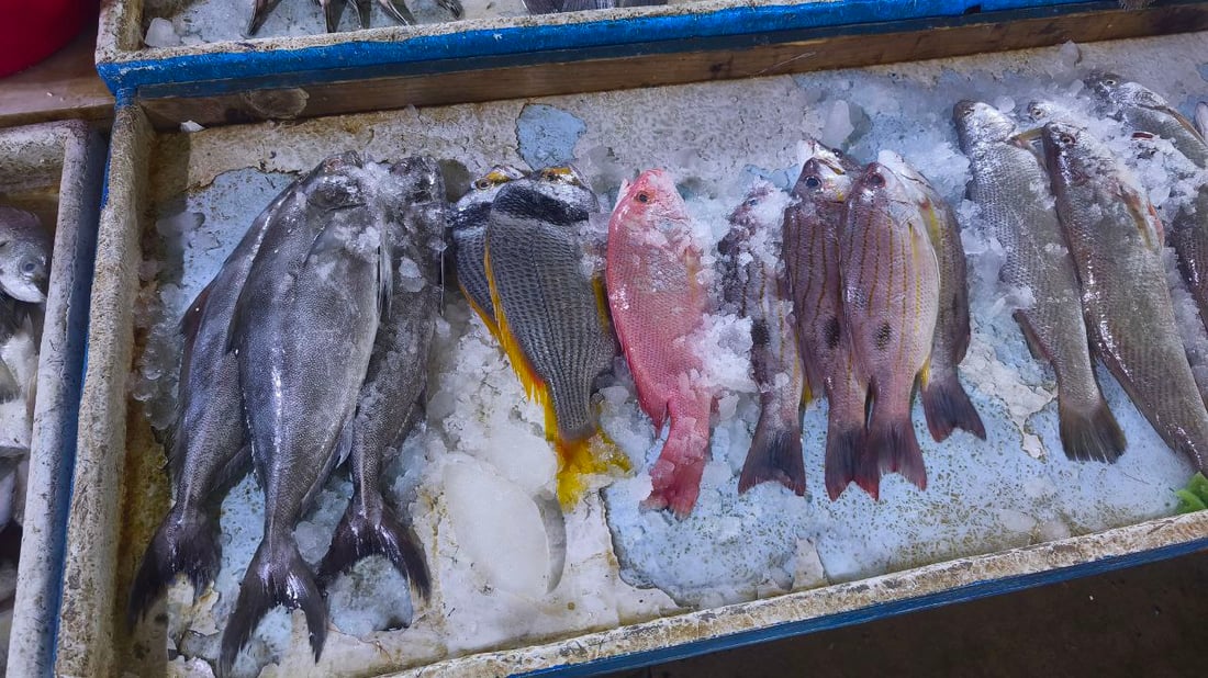 المحافظات تتوافد إلى سوق النقعة والسمك يصل بالأطنان (صور)