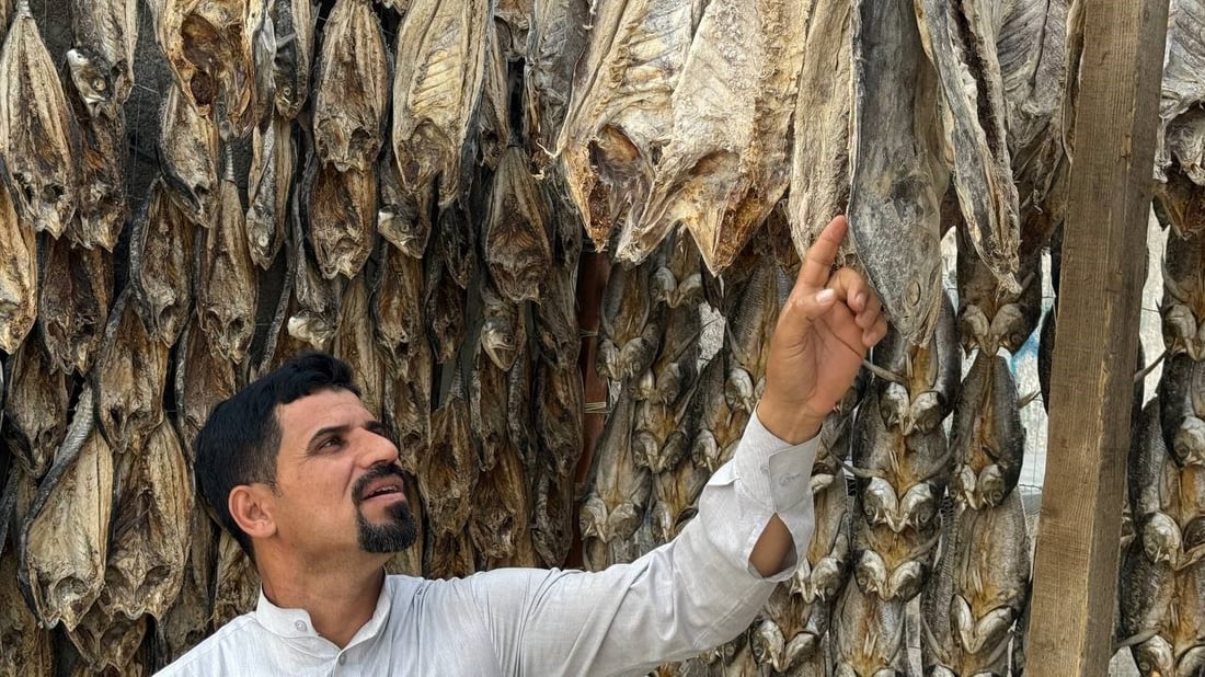 البصرة: مشاهد مدهشة تربك السفن والنساء.. بدأ تجفيف السمك و”عيد المسموطة”