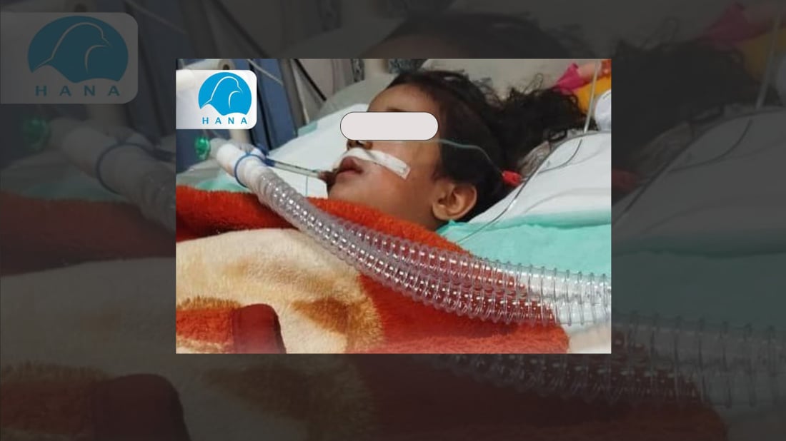 +964صورة من منصة (شبكة): 