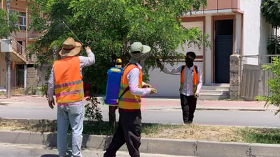 شاره‌وانى قه‌ڵادزێ رشاندنى بۆ سه‌وزاییه‌كانى ده‌ستپێكردووه‌