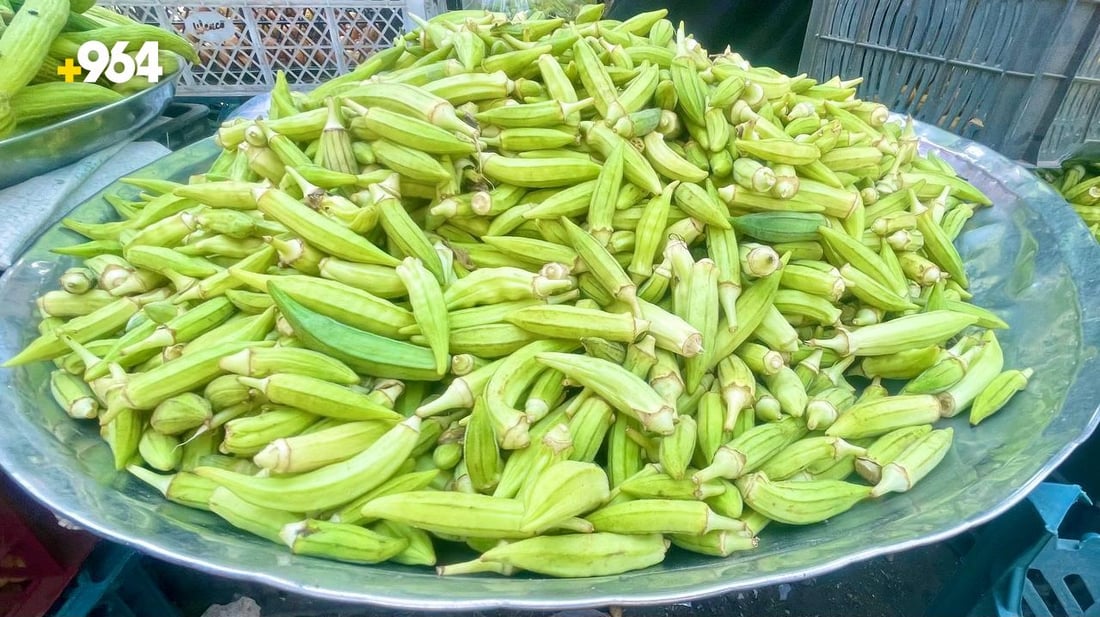 صور: موسم “باميا سهيل” بدأ في البصرة والزبائن تذوقوا القطفة الأولى