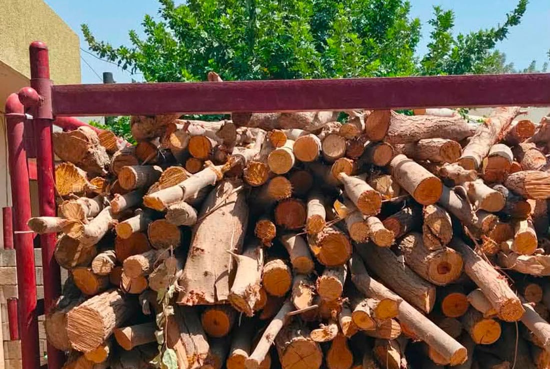پۆلیسی دارستانی گەرمیان: دوو دار بڕ دەستگیرکران