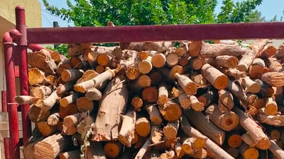 پۆلیسی دارستانی گەرمیان: دوو دار بڕ دەستگیرکران
