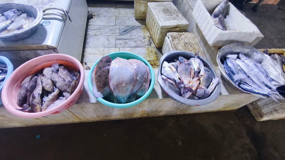 البحر يجود على البصرة.. أسعار الأسماك تهبط و”أكل الفقير” صار بألف دينار