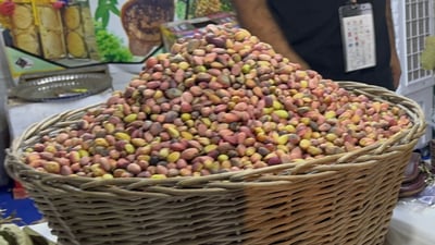 بە فستق نوێنەرایەتیی رواندز دەکات؛ گەنجێک بەرهەمی باخەکەی هێناوەتە شانەدەر