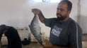 موسم الحف والضلع بدأ.. أطنان من السمك في مرسى النقعة (فيديو)