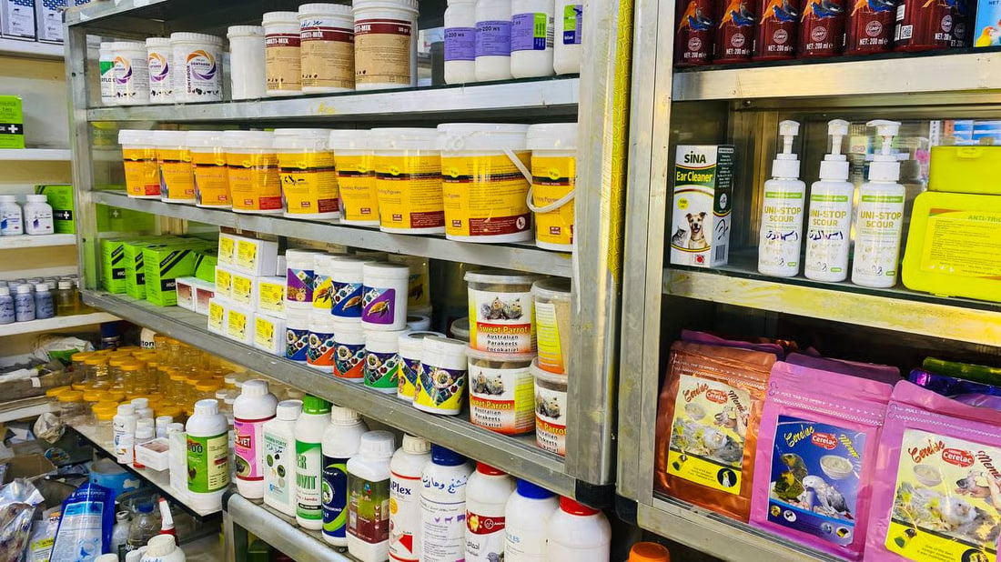 Maysan faces challenges in pet care and medication as winter arrives